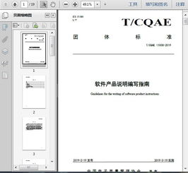 t cqae 11008 2019軟件產品說明編寫指南19頁